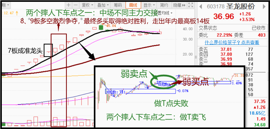 连续4个月4支龙妖股票翻8倍如果再来一次我都能上车么