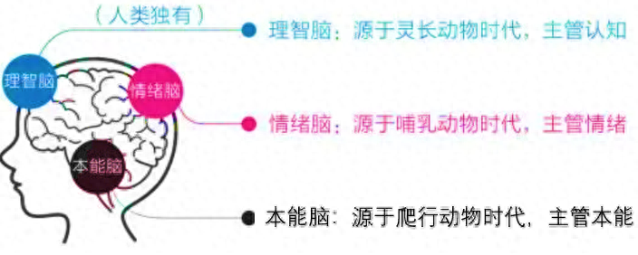 一个人想学会炒股就要重装自己大脑系统