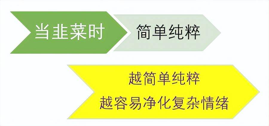 小鳄鱼从几万炒股炒到上亿因大成前吃透4个字大成后死守2个字