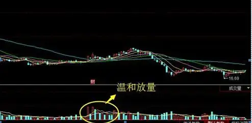 主力最害怕的指标一一成交量揭秘庄家操盘教你看清主力意图！