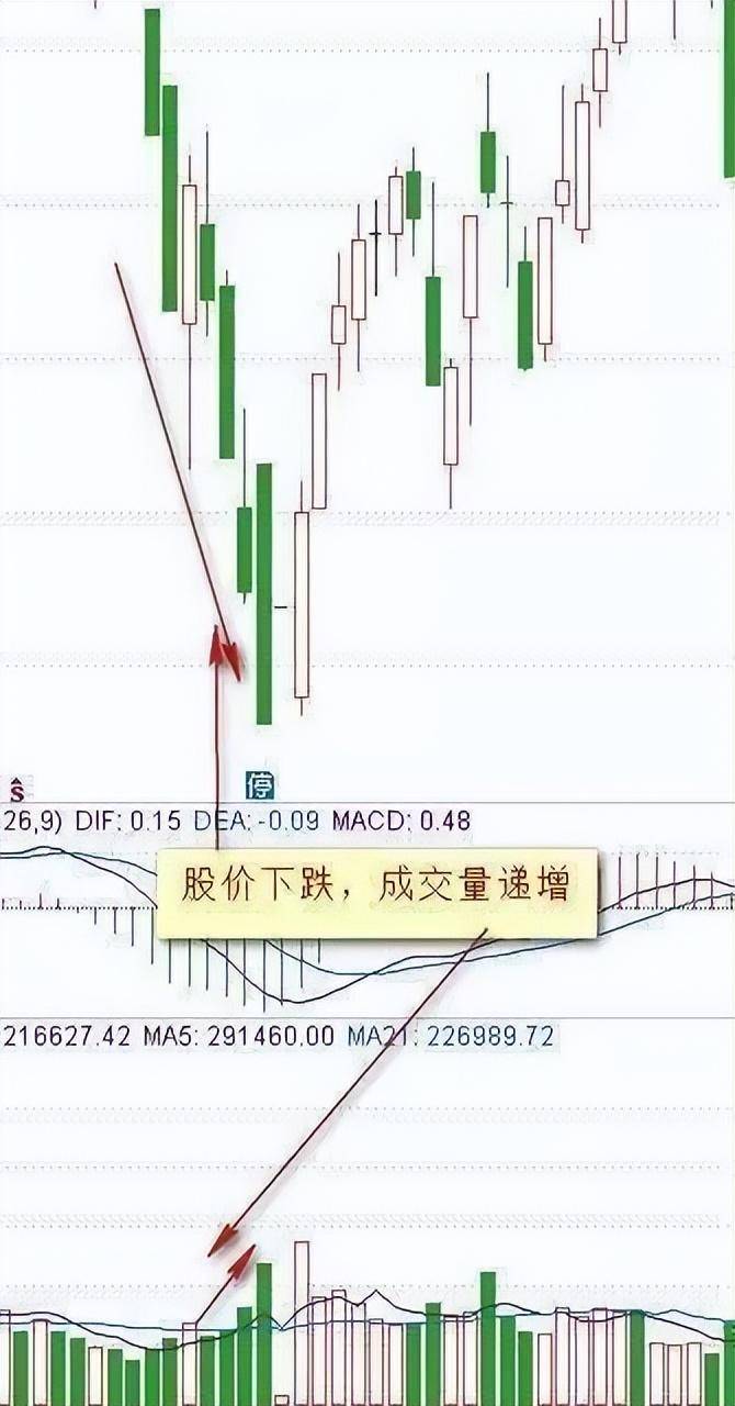 主力最害怕的指标一一成交量揭秘庄家操盘教你看清主力意图！
