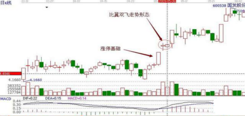 一位资深老股民的良心分享零基础快速看懂K线学到就是赚到！