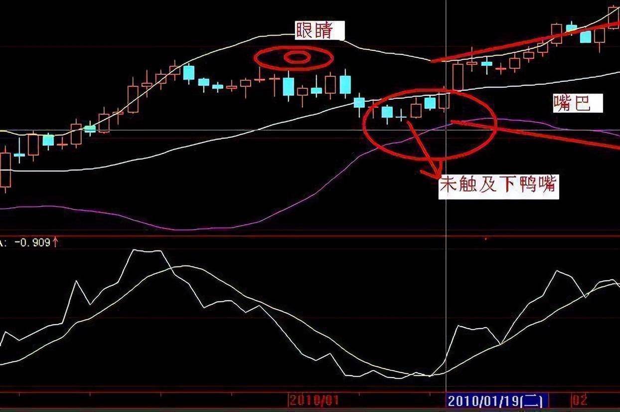 冲劲十足的老鸭头战法掌握可火箭拉升错过只能买鸭尾巴上