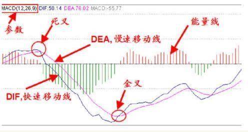 盈利20年选股只看一个指标