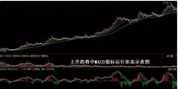 MACD最强战法！炒股一招就够包你转亏为盈赚翻天