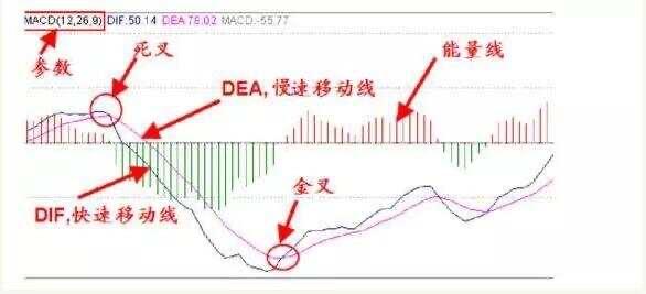 准确率最高的指标MACD一指标战涨停实盘验证超万次