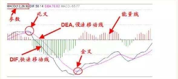 准确率最高的指标MACD一指标战涨停实盘验证超万次