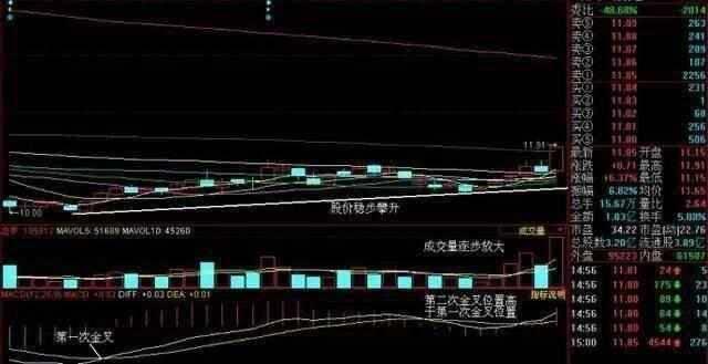 准确率最高的指标MACD一指标战涨停实盘验证超万次