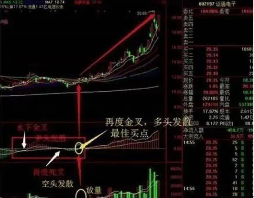 中国股市只有一类人能够真正实现财富的大幅增长就是那些采用