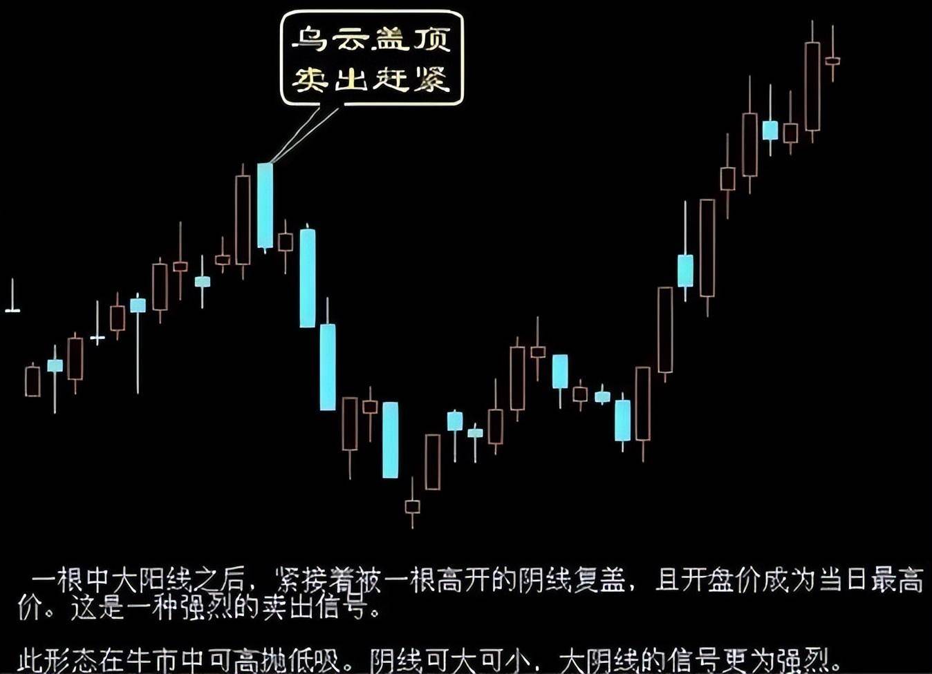 北大金融博士肺腑之言坚决做到八不碰值得散户牢记于心