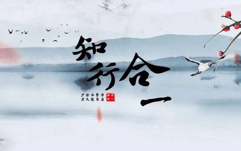 中国股市巴菲特点破A股散户仍不肯割肉主力会用这几种方法