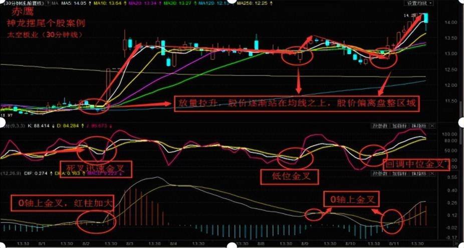 中国股市想要在股市不亏损这篇文章或许对你有帮助建议收藏