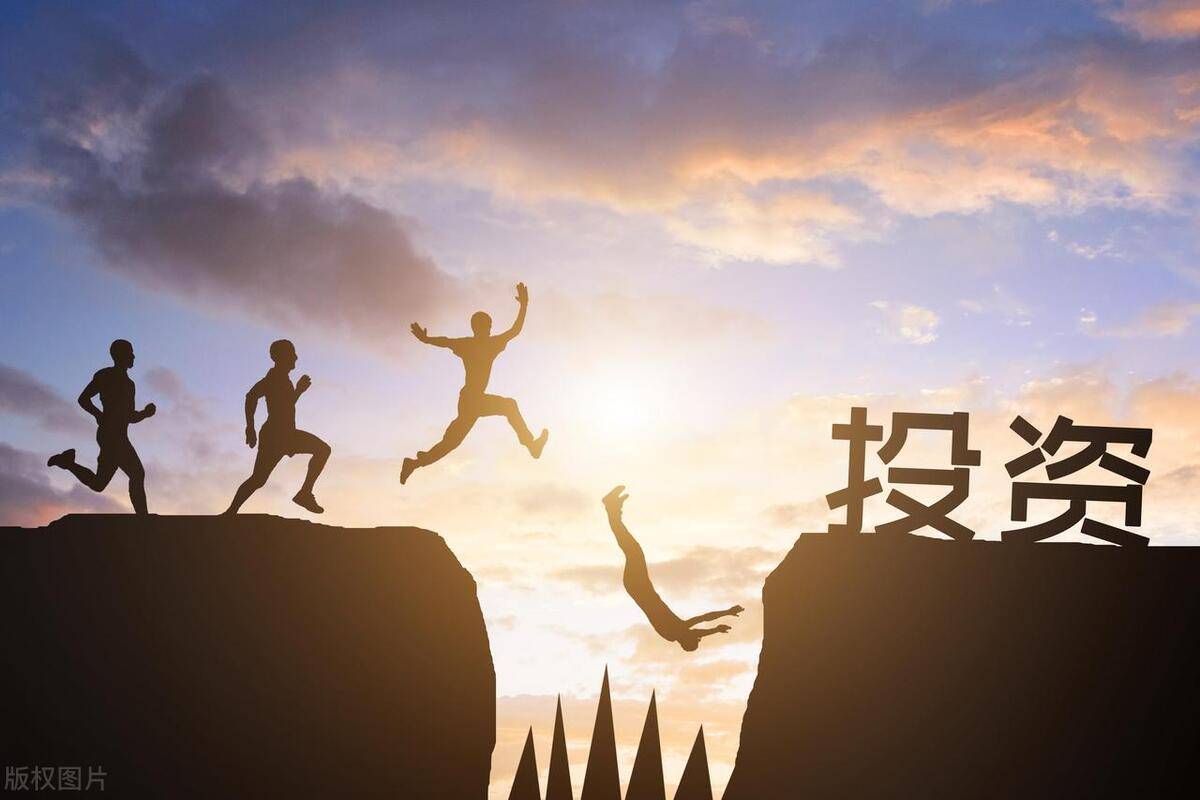 炒股就像一棵树这棵树最终能长多高取决于树根扎得有多深