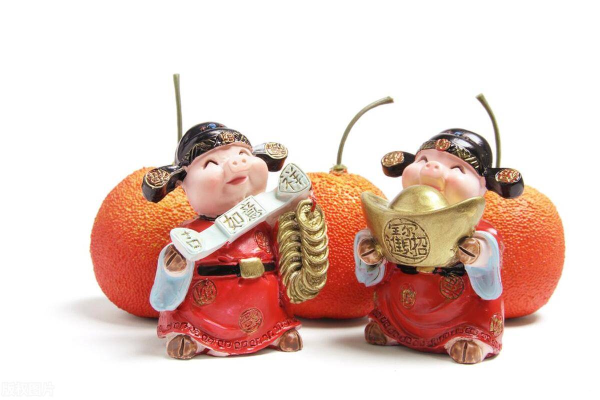 炒股就像一棵树这棵树最终能长多高取决于树根扎得有多深