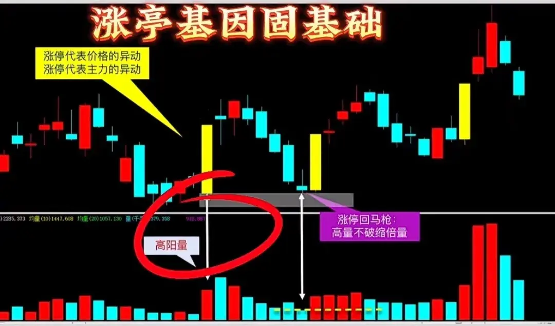 牢记四句战法口诀抓取起涨黑马股！
