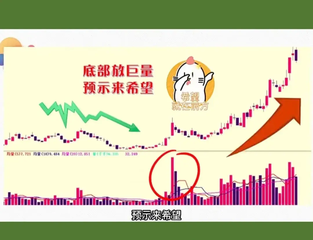 牢记涨停凤还巢区分相对高低位巨量越简单的方法越赚钱