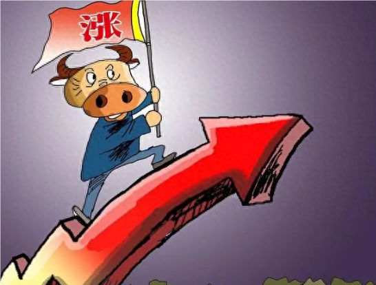 一位上海金融教授直言相告中国股市背后的庄是谁？值得深思