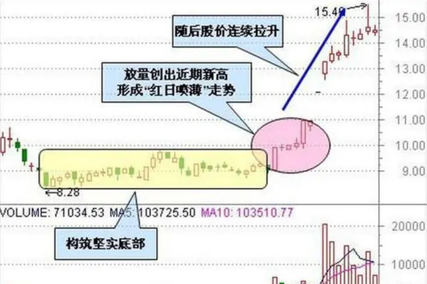 上海炒股大赛冠军直言能从股市赚钱的只有一种人此文很短很深
