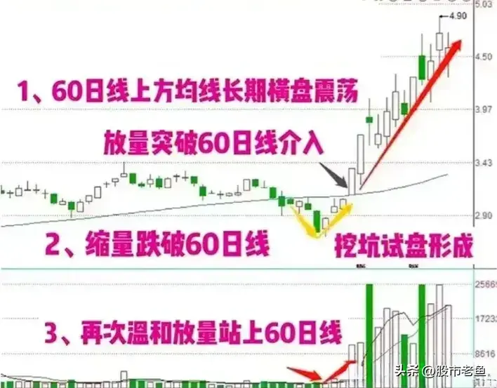 中国股市赚钱最快的方法之一一直只做一种股票从巨亏到巨赚