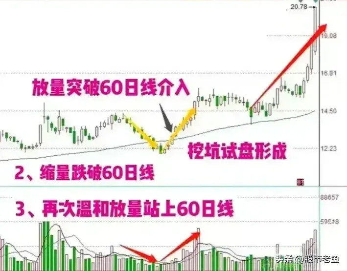 中国股市赚钱最快的方法之一一直只做一种股票从巨亏到巨赚