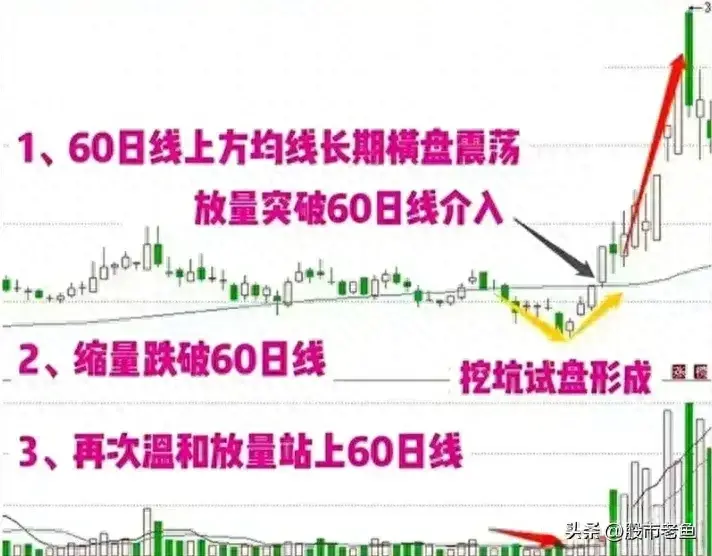 中国股市赚钱最快的方法之一一直只做一种股票从巨亏到巨赚