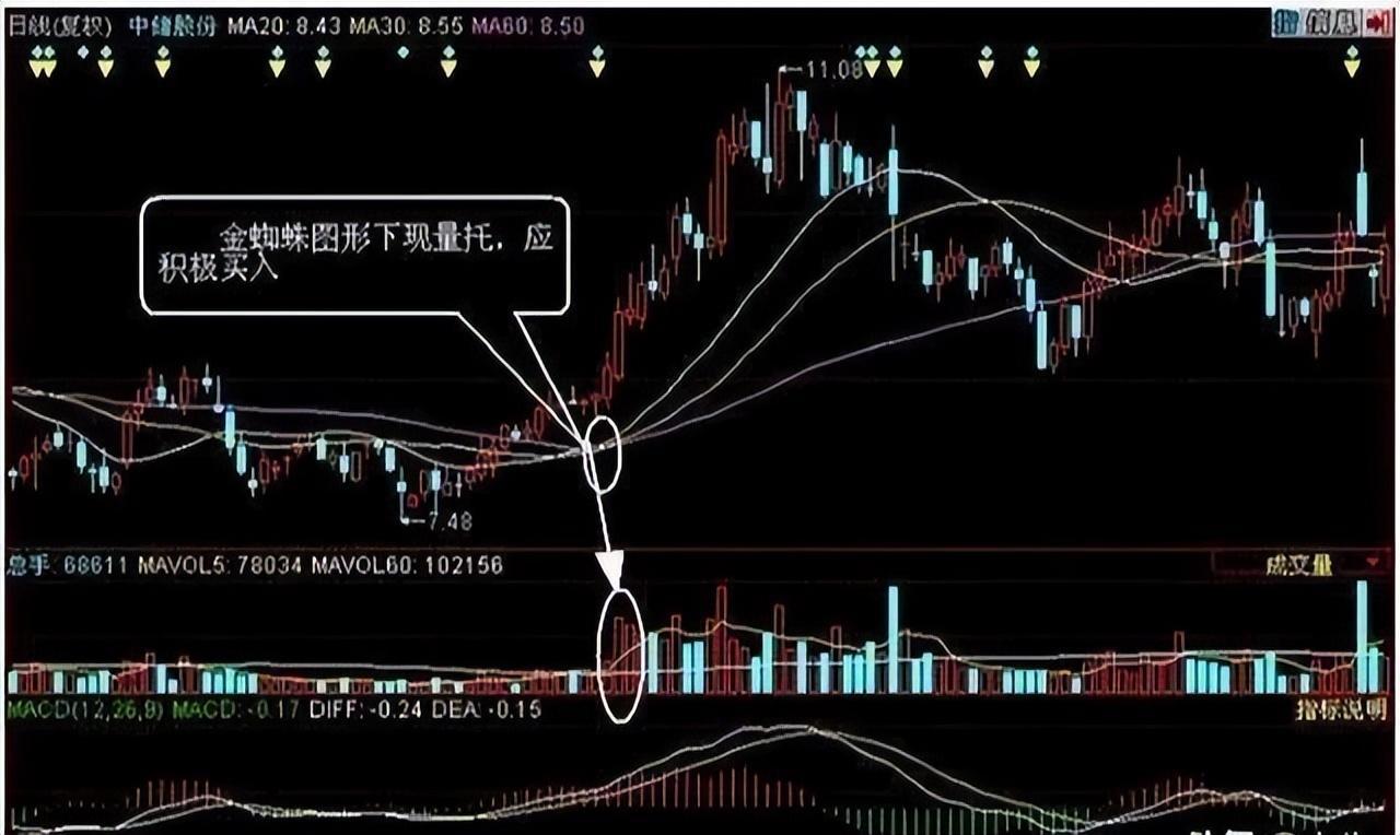 送给所有亏损的散户炒股一直亏损不妨看看这篇文章值得深读！