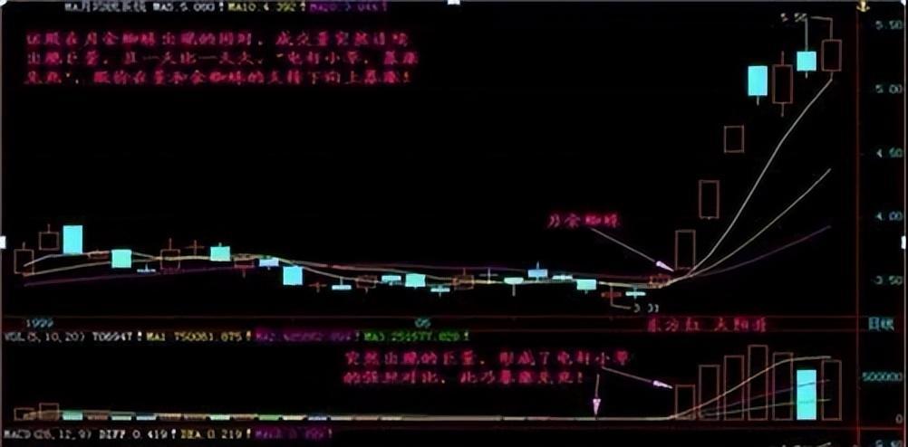 送给所有亏损的散户炒股一直亏损不妨看看这篇文章值得深读！