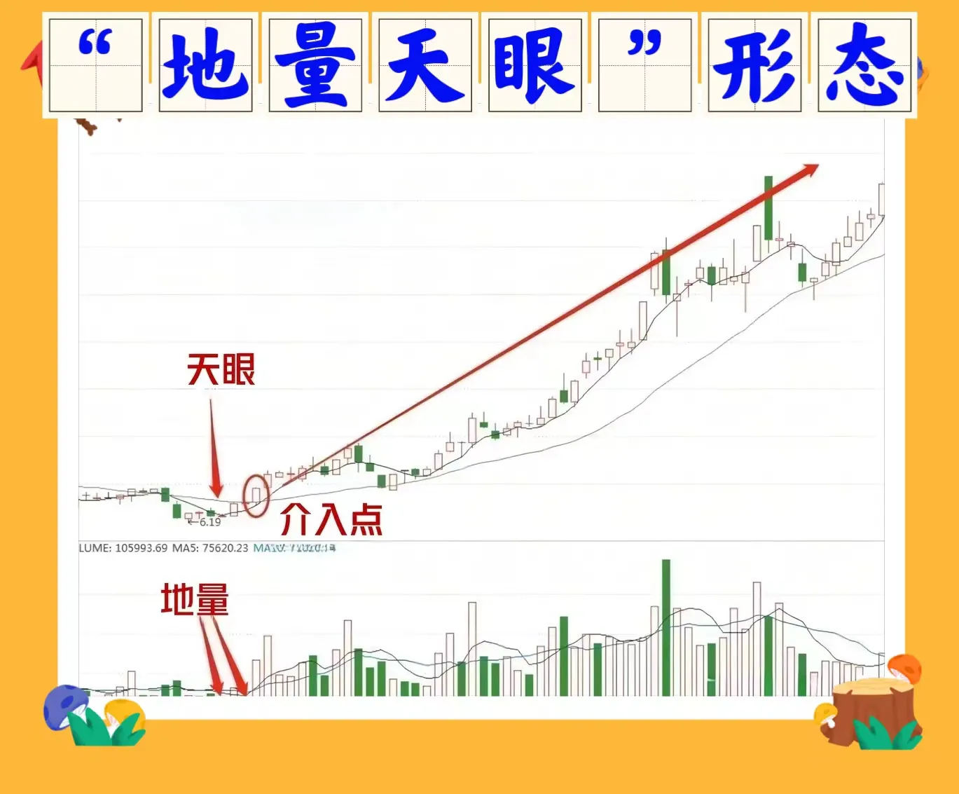 地量天眼形态