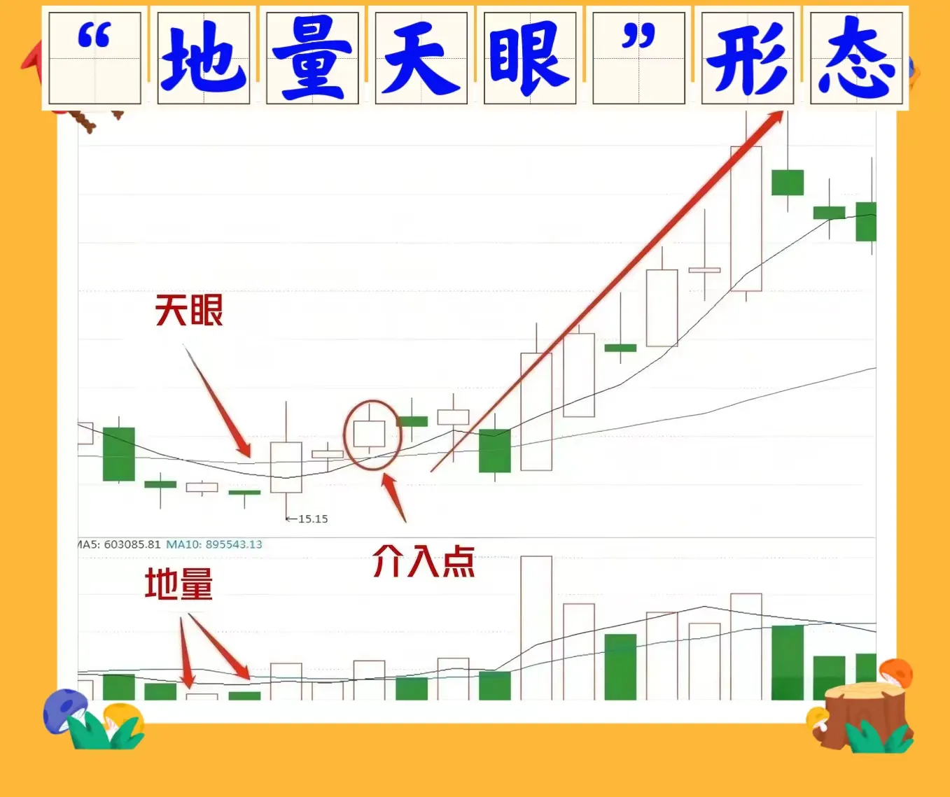 地量天眼形态