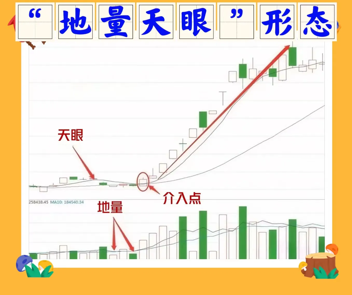 地量天眼形态