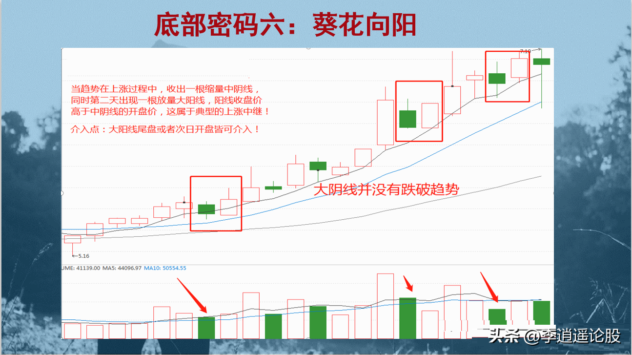 12个底部形态
