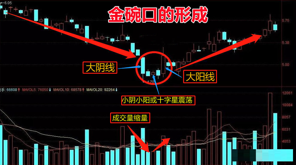 金碗口形态