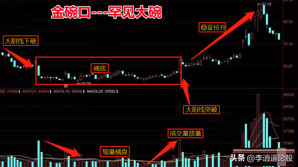 金碗口形态