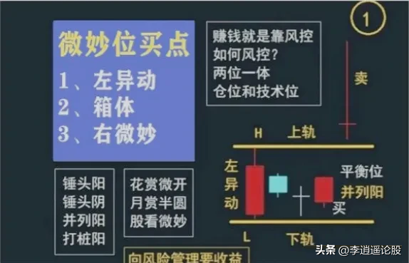 箱体形态
