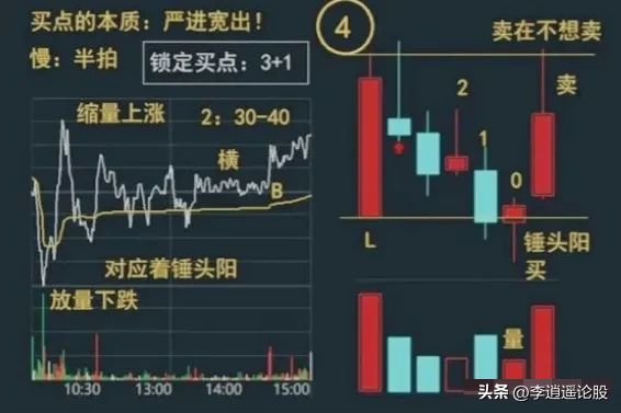 箱体形态
