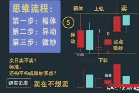 箱体形态