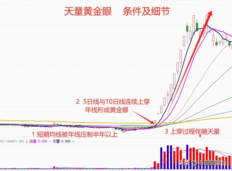 天量黄金眼