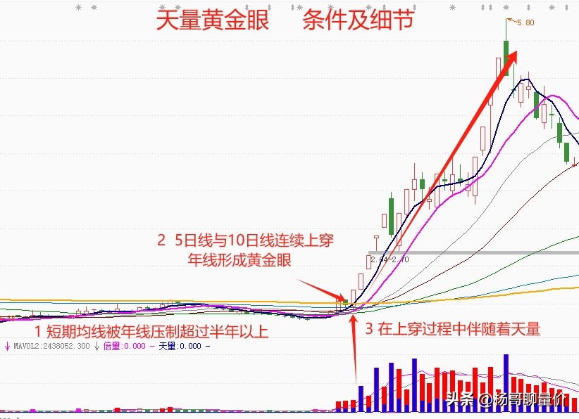 天量黄金眼