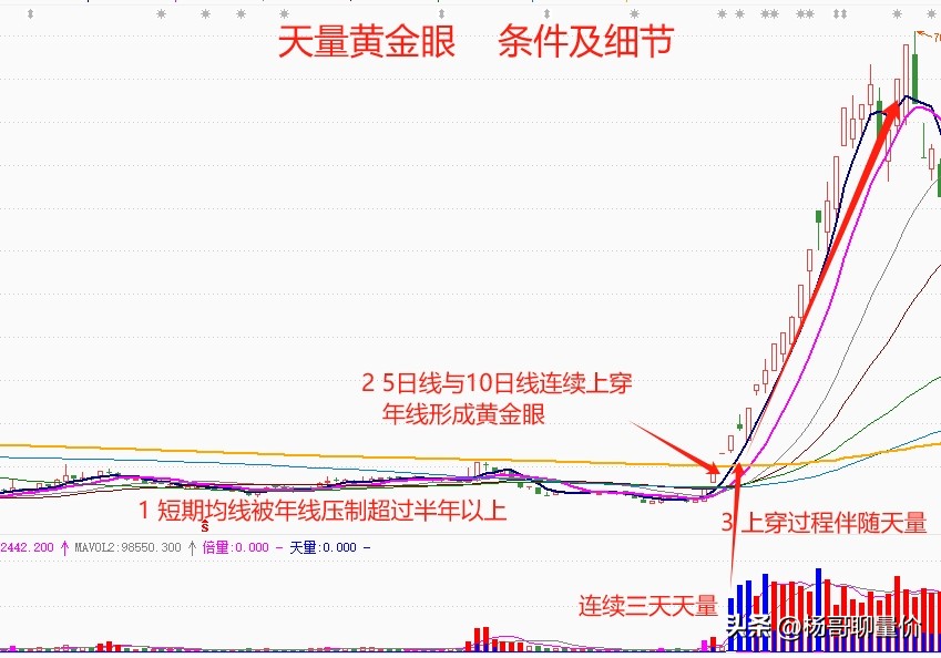 天量黄金眼