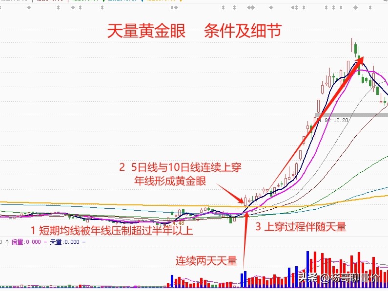 天量黄金眼
