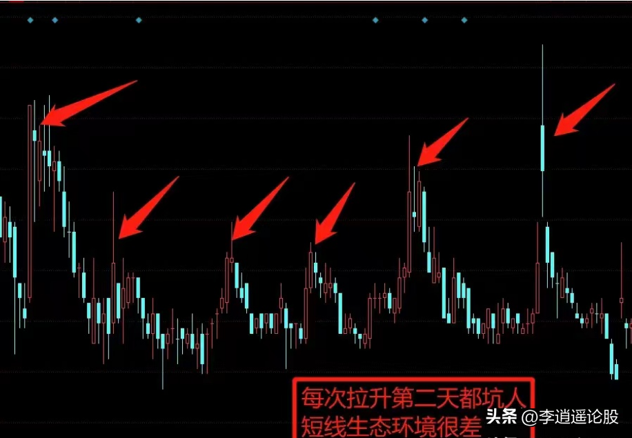 炒股养家