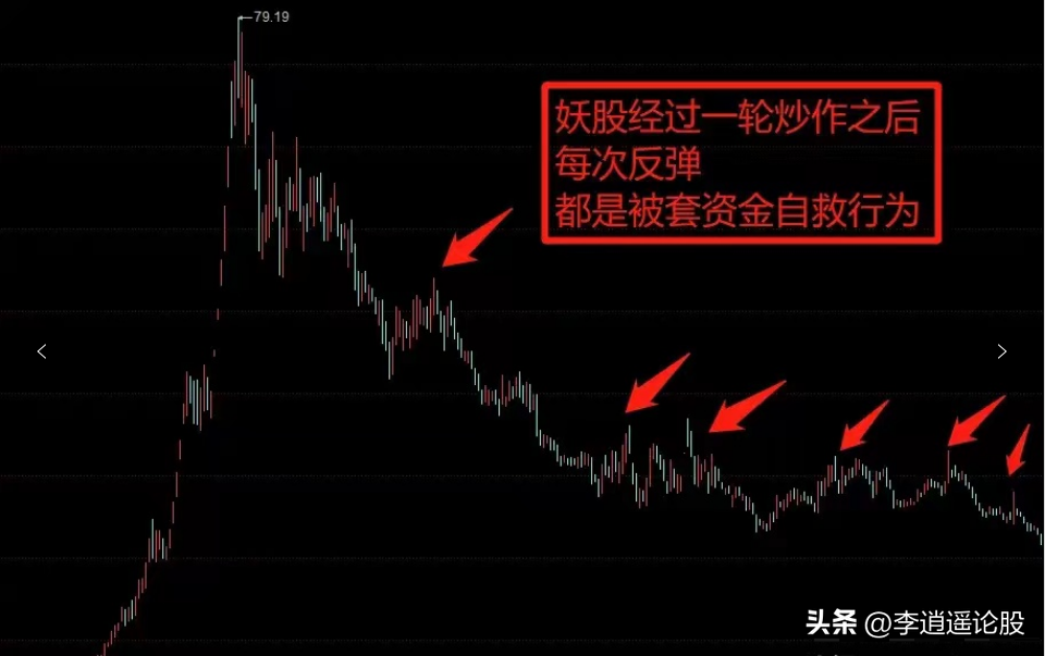 炒股养家