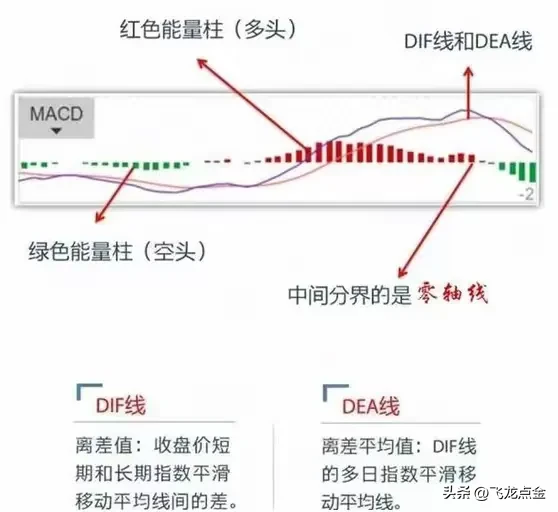 怎么看macd