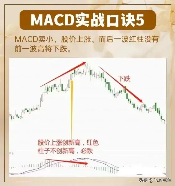 怎么看macd