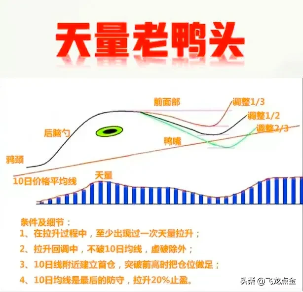 炒股-天量老鸭头