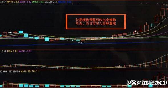 股市也有蜘蛛精你会区分好坏吗？