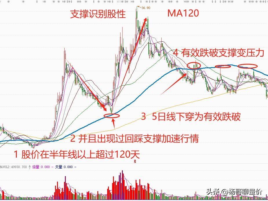 透过股性看本质如何从支撑的角度来识别股性