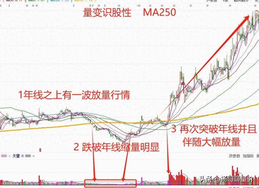 透过股性看本质如何通过量变识别股性