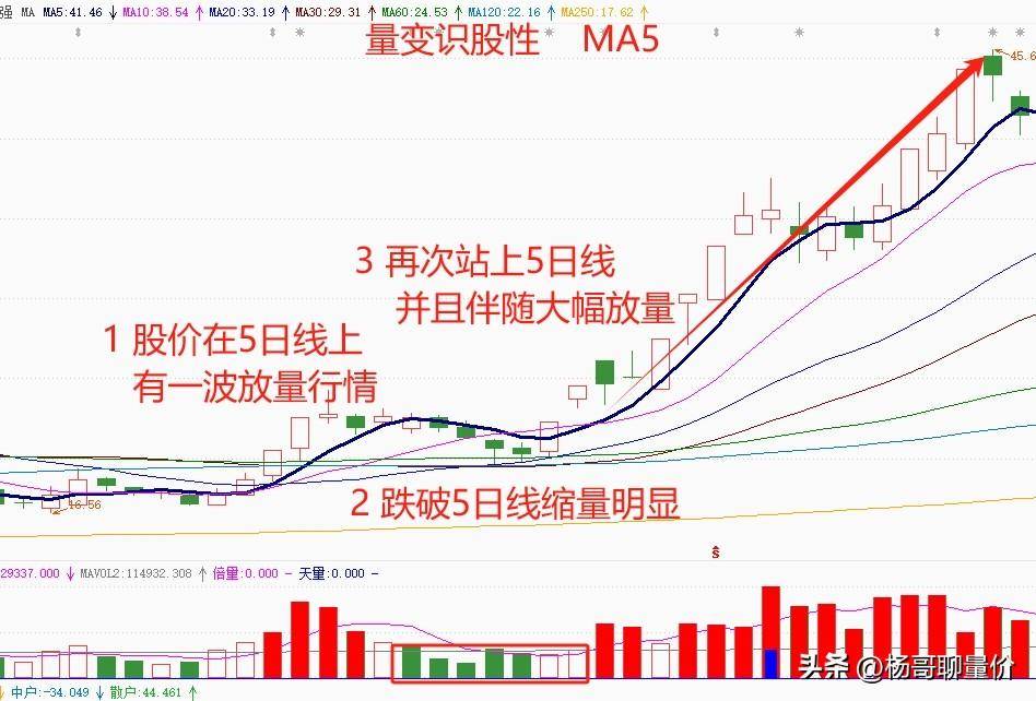 透过股性看本质如何通过量变识别股性