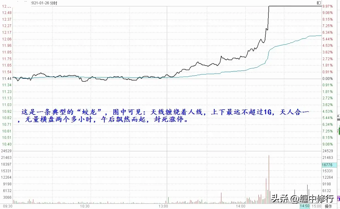 潜龙蛟龙卧龙分时图谱与伏击方法